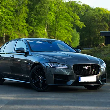 Jaguar in Murfreesboro, TN